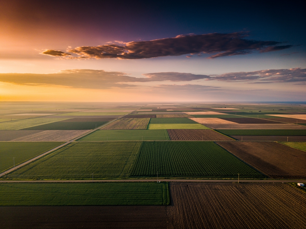 Vista aérea de campos cultivados en Argentina al atardecer